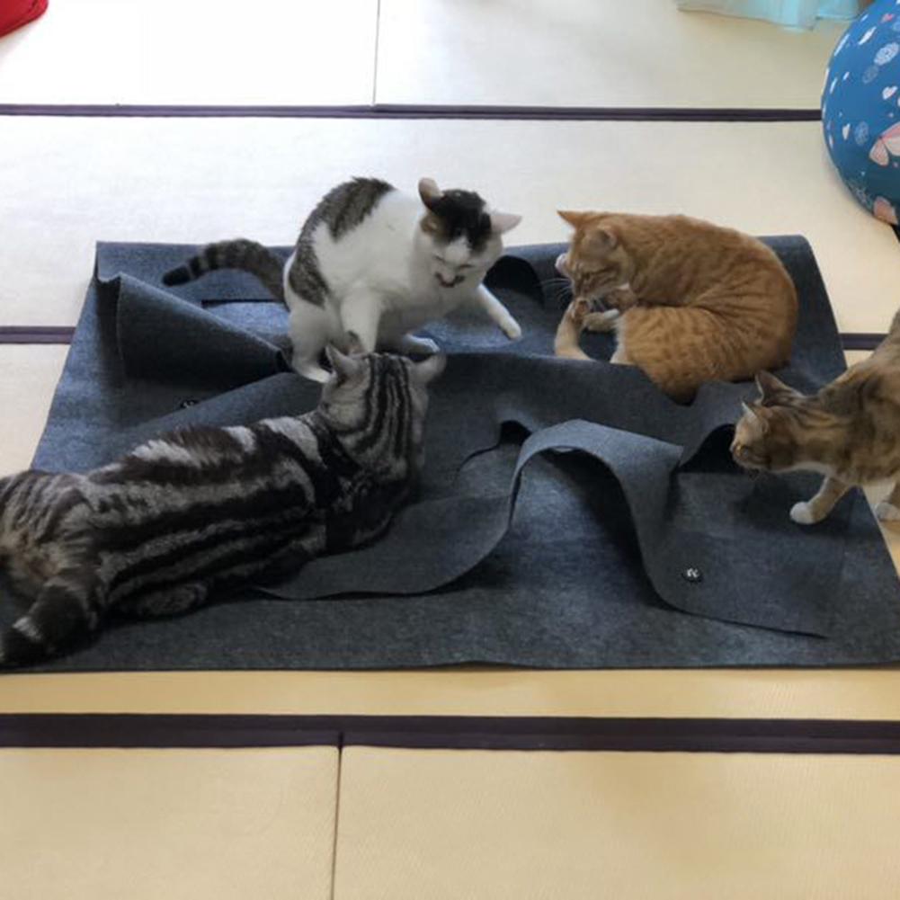 cat activity play rug