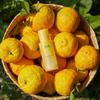 Hanyul Moonlight Yuja C Serum - Radiance Care, Korean