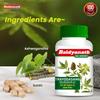 Baidyanath Trayodasang Guggulu 80 Tablets Ayurvedic Joint Support Supplement for Bone & Muscle Wellness