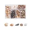 Shell Pendant Natural Sea Shells Aquarium Landscape Scallop Wind Chime Accessories Conch  Fish Tank