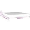 VidaXL Matelas de lit à ressorts ensachés rose 160x210 cm epaisseur 20 cm velours,matelas,matelas de lit,matelas à sommier tapissier