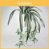 Comosum Wall Chlorophytum Hanging Decoration For Indoor Outdoor Garden Gift