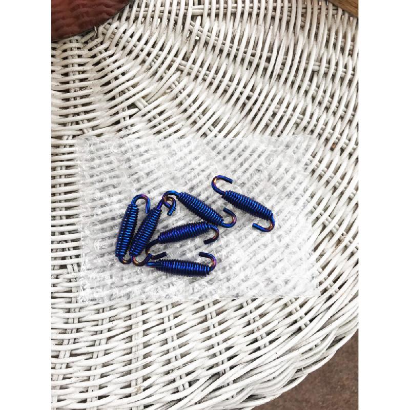 6 Pcs Blue Stainless Steel Motorcycle Scooter Exhaust Pipe Muffler Spring Hook