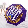 Anderlecht, Badge Automatic Opening and Closing, 8 rib Structure Portable Umbrella, Suitable for Men and Women in All Seasons  Perfect Gift