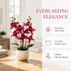 Silk Petals Simulation Cymbidium Bonsai Multicolor Simulated Orchid Plant  Office Hotel