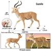 Wild Safari Animal Figurines: Giraffe, Elephant, Rhinoceros, Brown Bear, Tiger, Lion, Leopard, Hippopotamus - Solid Cognitive Toys