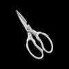 Stainless Steel Scissors