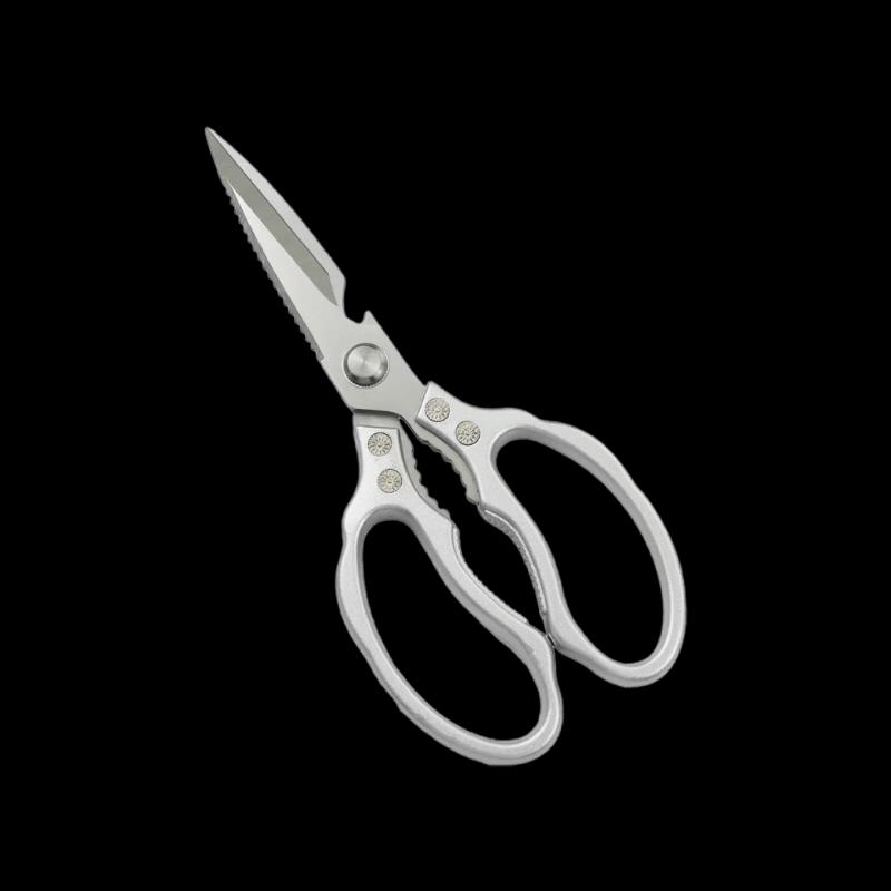 Stainless Steel Scissors