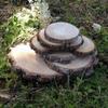 Creative Pine Wood Round Slices for DIY Wall Decor, Flower Pot Stands, and Early Education Crafts