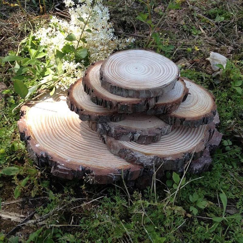 Creative Pine Wood Round Slices for DIY Wall Decor, Flower Pot Stands, and Early Education Crafts