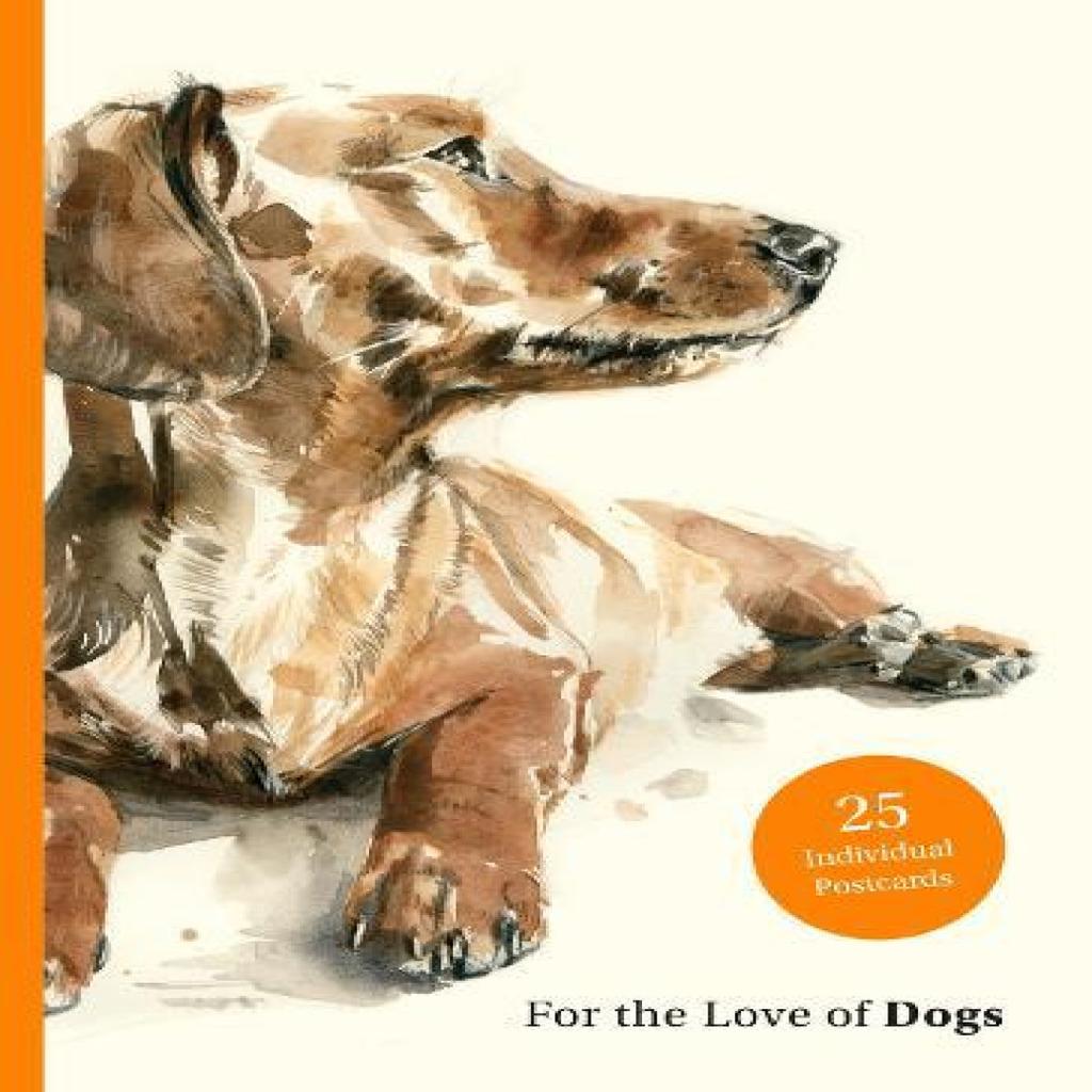 For the Love of Dogs 25 Postcards by Ana Sampson Paperback Book 9781399600156