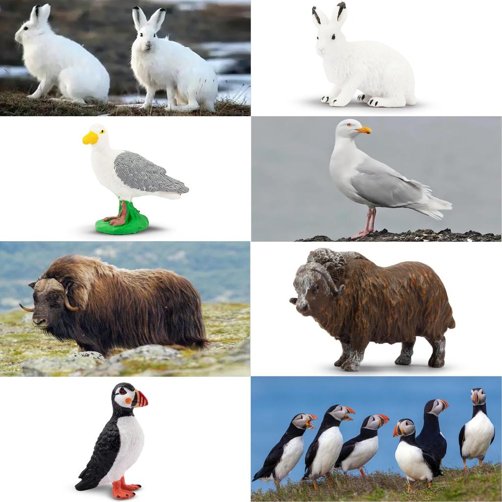 TOYMANY 14PCS Mini Animal Figures Arctic Animal Figure Set Arctic Realistic Animal Models Mini Models Popular Animals Toys Toys Birthday Present