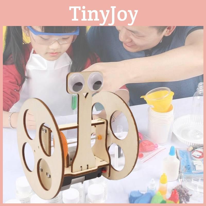 Wooden Diy Balance Car Robot Invention Science Experiment Stem Educational Material
