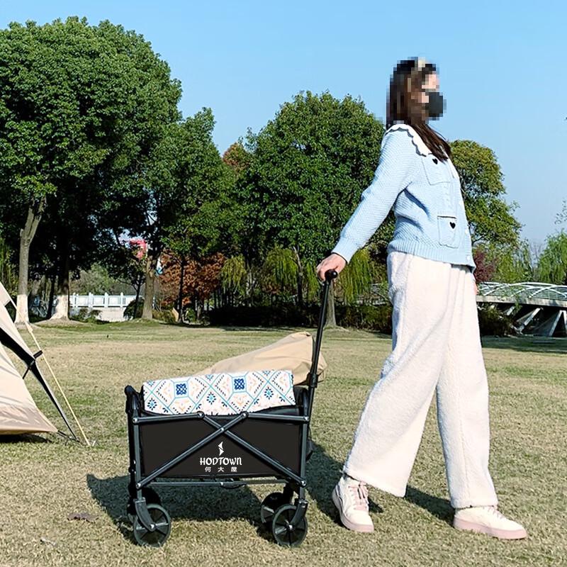 

Mini Outdoor Folding Camping Trolley 30L