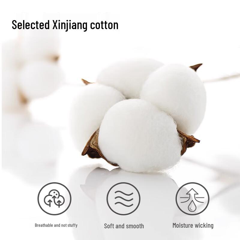 Langsah Men's 80S Cotton Silk Antibacterial Plus Size Boxer Briefs