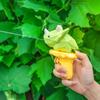 Kinder Dinosaurier Wasserpistole Strand Sommer Outdoor Spritzspielzeug