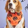 Halloween Pet Bib & Scarf for Cats and Dogs