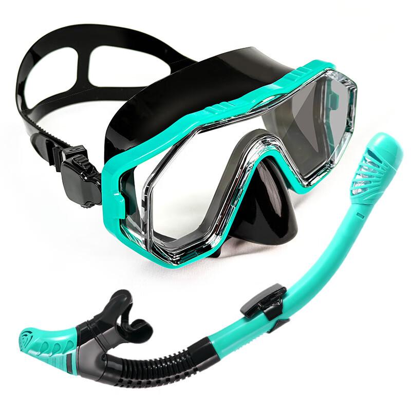 Adult Anti-Fog Snorkel Mask & Dry Snorkel Set