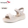 Red Dragonfly Women's Genuine Leather Soft Sole Sandals - Summer 2026 Collection