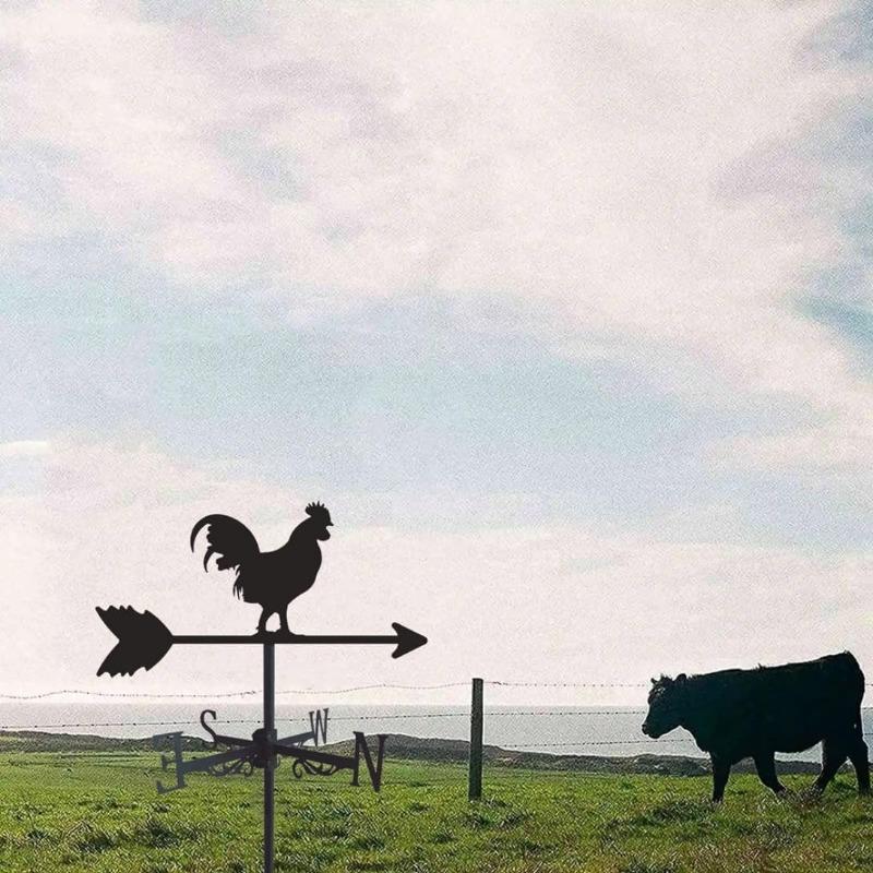 Garden Supplies Stainless Steel Creative Animal Rooster Roof Home Wind Indicator Outdoor Cupola Wind Direction Indicator Field