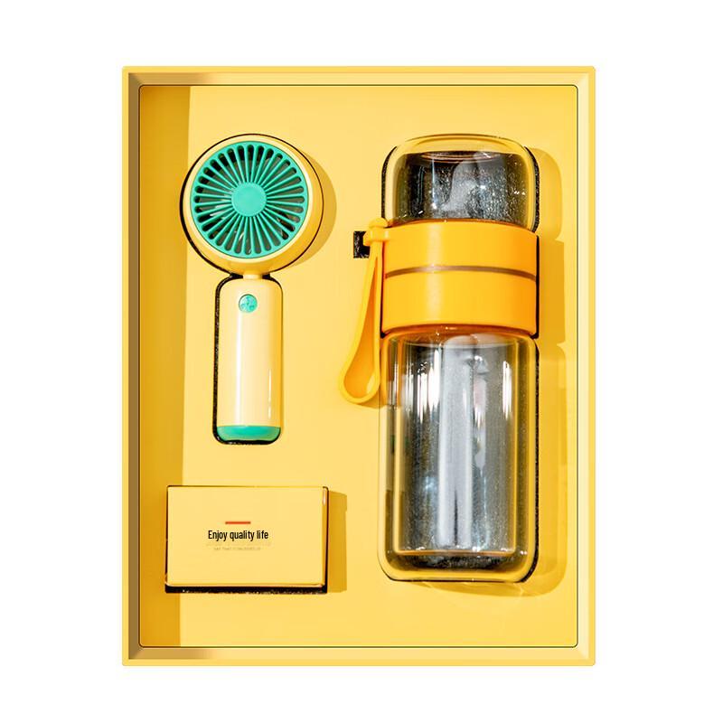 MRSIKEY Summer Mini Fan & Glass Water Bottle Gift Set