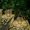 Solar Led Lantern Light Outdoor Hanging Projection Light With Hollow Wrought Iron Design Waterproof Yard For Garden Art Decoration