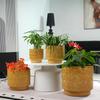 Mini Small Ceramic Plant Pot Ø19 cm, Glossy Warm Yellow Heart-Ornament Relief, Breathable Drainage Hole for Mini Succulents and Desktop Herbs