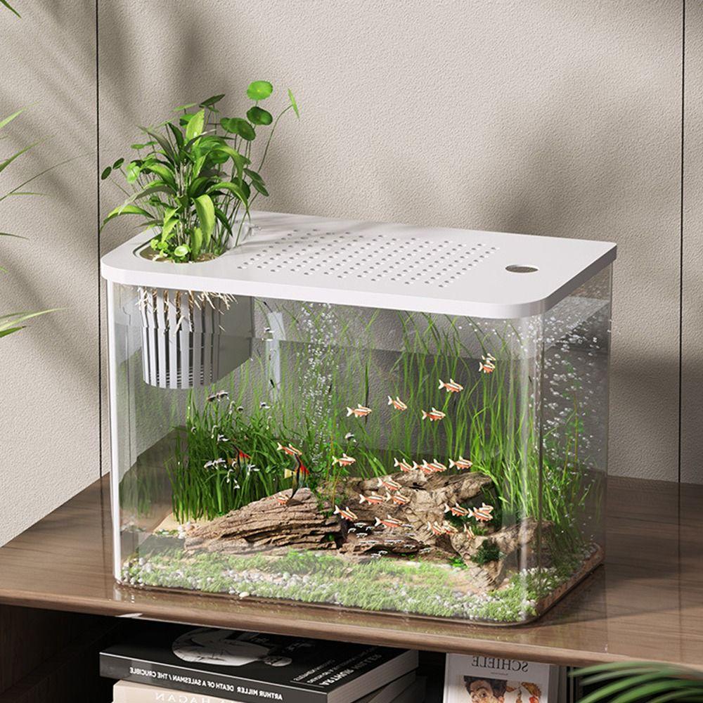 Transparent Desktop Aquarium with Lid Turtle Tank Durable Ecological Water Tank  for Home