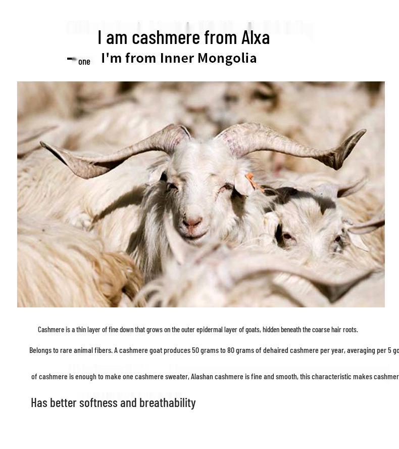 Women's Slim Fit Round Neck Jacquard Cashmere Sweater