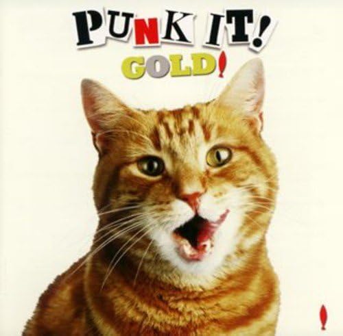 

CD VARIOUS PUNK ITGOLD CDDVD First Press TECI28523 2008 Japan ObiRock Used