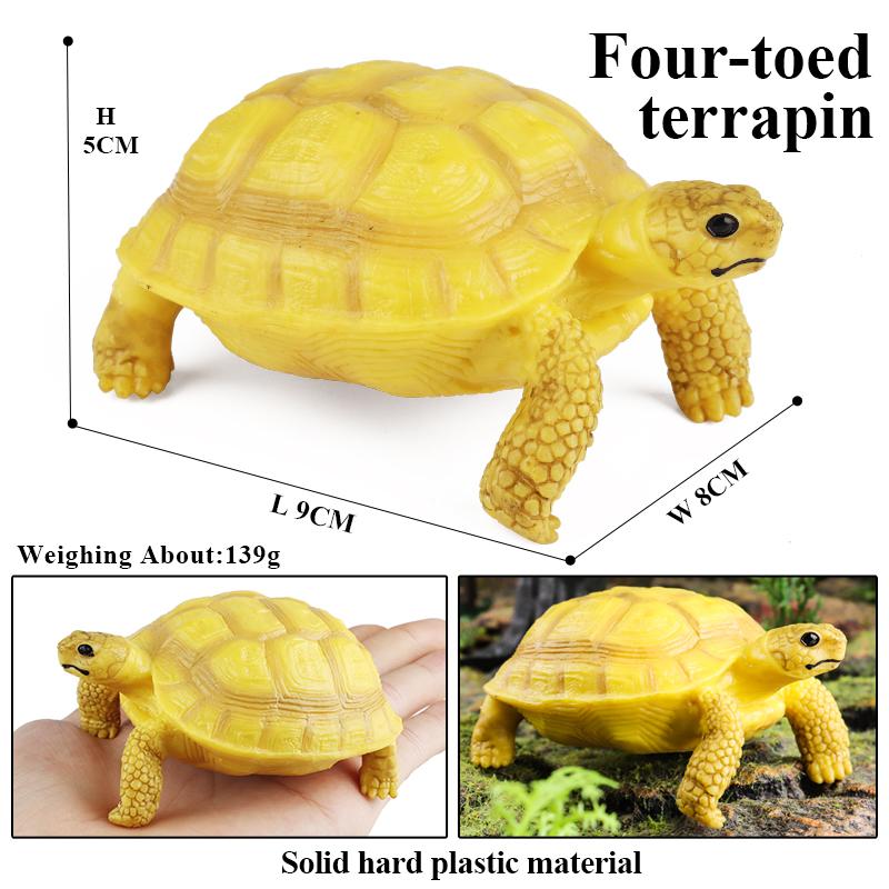 Oenux Sea Life Animals Model Leatherback Tortoise Turtle Growth Cycle Ocean Figurines Action Figures PVC Collection Kid Toy Gift