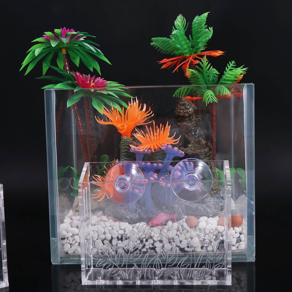 Floating Aquarium Plants Cup Transparent Fish Tank Planting Cup Aquatic Planter Holder Aquascape