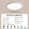 Sitanku Full Spectrum Eye Protection Ceiling Light