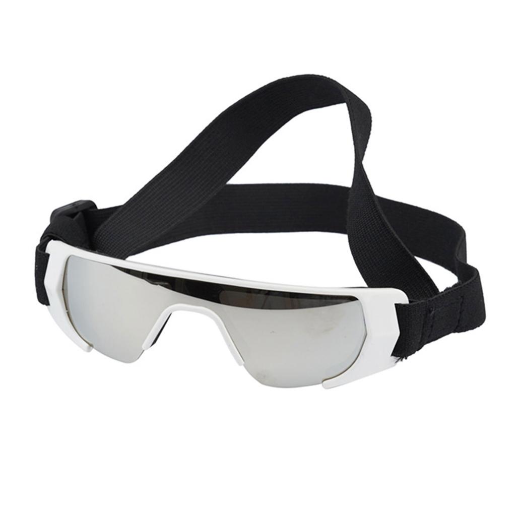 Pet Sunglasses Protections for Small Dogs for Northern Area with Adjustable Strap for Outdoor Sports