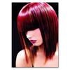 Barbershop New Hair Styling Schönheitssalon Bilder Wanddekoration Malerei Haar Design Kunst Mode Haar Poster und Drucke HD0987