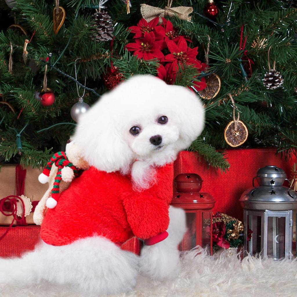 Hund Weihnachtskostüm Niedlicher Bär Warmer Mantel Weihnachts-Hundekostüm Für Kleine/Mittlere/Große Rassen Geburtstag Feiertag Kaltes Wetter Winter