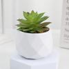 Diamond Succulent Set: Desktop Potted Ornament Decor
