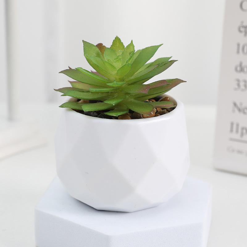 Diamond Succulent Set: Desktop Potted Ornament Decor