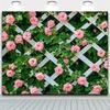 2D Rose Lattice Fence Backdrop - Floral Photography Background Banner