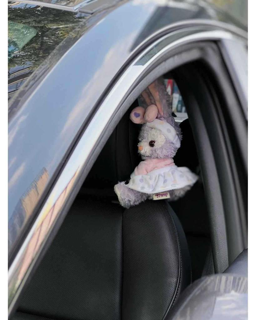 Charming Car Ornaments: Plush Passenger Seat Toys & Decorations for Women, Perfect for Tesla.