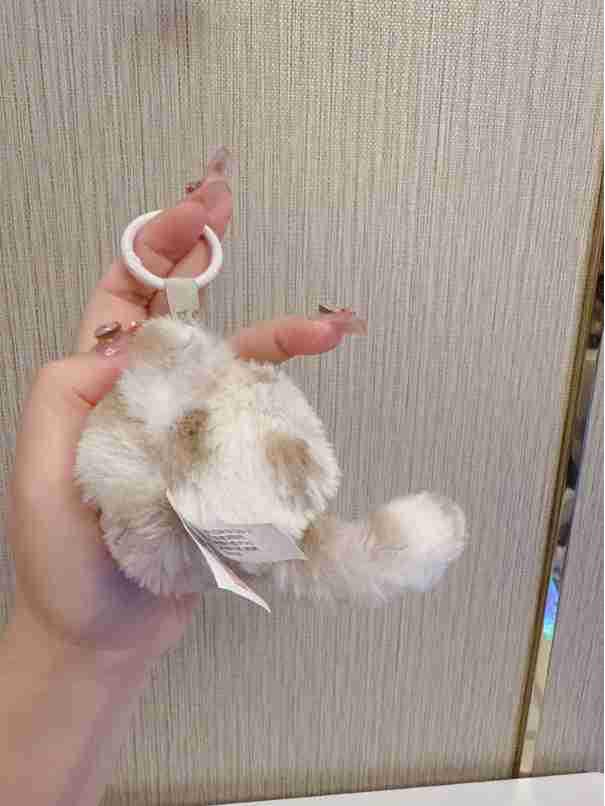 Little Leopard Cat Plush Keychain Blind Box Series - Trendy Vinyl Doll and Claw Machine Toy