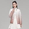 Womens Lightweight Down Jacket 90% Duck Hooded Stand Collar Gradient Color Plus Size Fall Winter