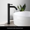 TLXT Black Single Cold Tall Basin Faucet