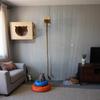 Wall-Mounted Cat Climbing Frame & Scratching Post with Bed and Toy