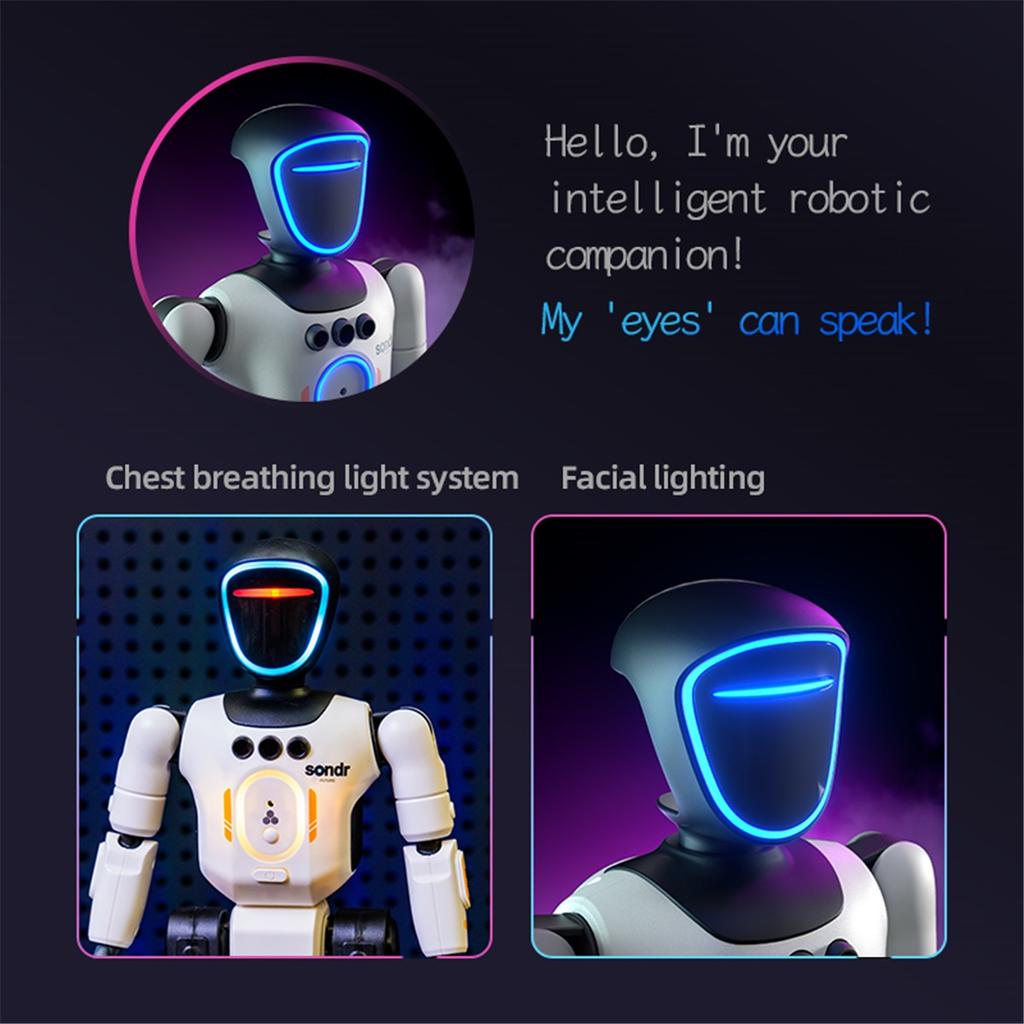 Smart Programming Humanoid Gesture Sensing Remote Control Robot 2.4G Joint Mobility Breathing Light Recording Function RC Robot