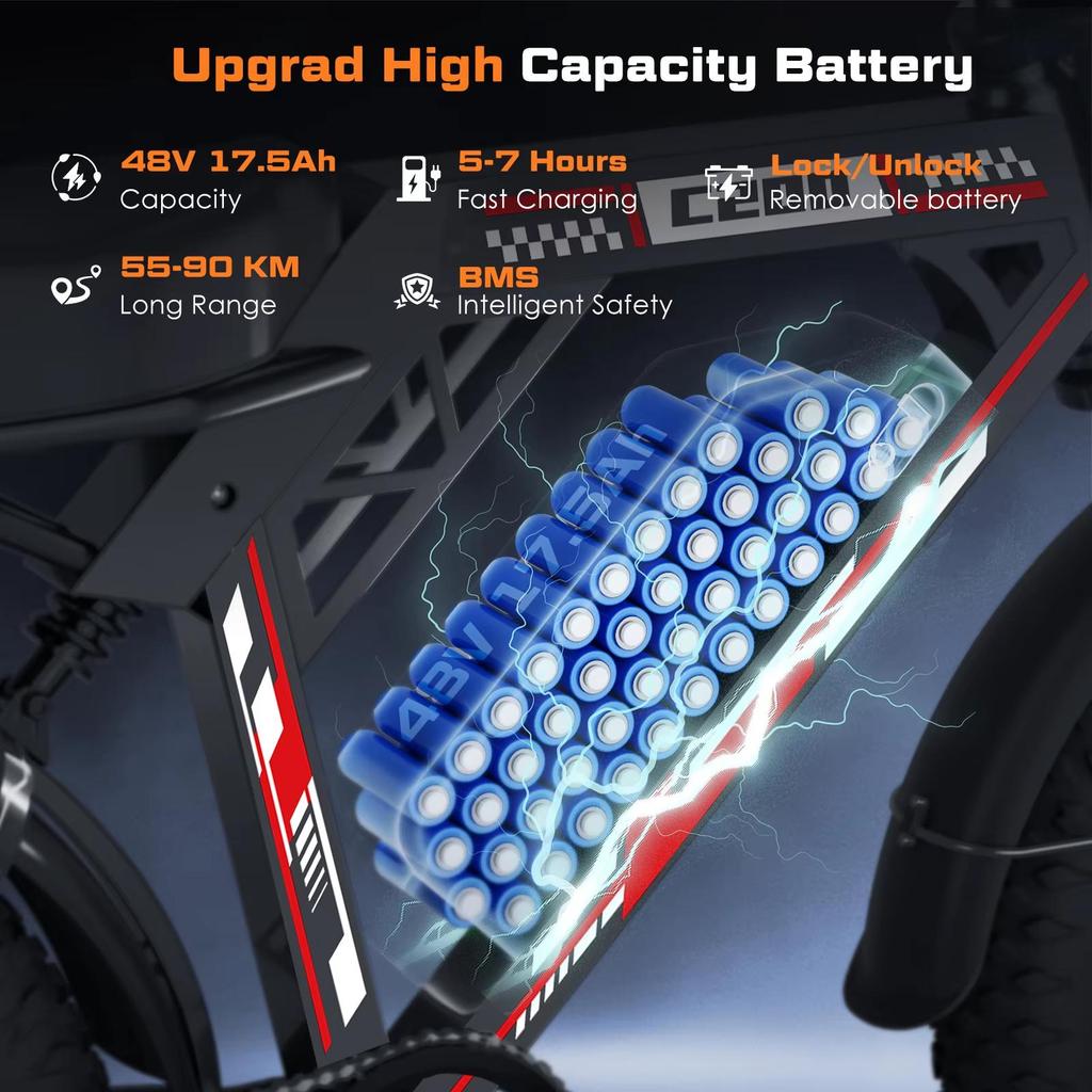 HiQiS Electric Bicycle C200 48V 17.5AH Battery Maximum Range 90KM 1000W Motor 25km/h Speed 20 Inch Fat Tire All Terrain Electric Bicycle