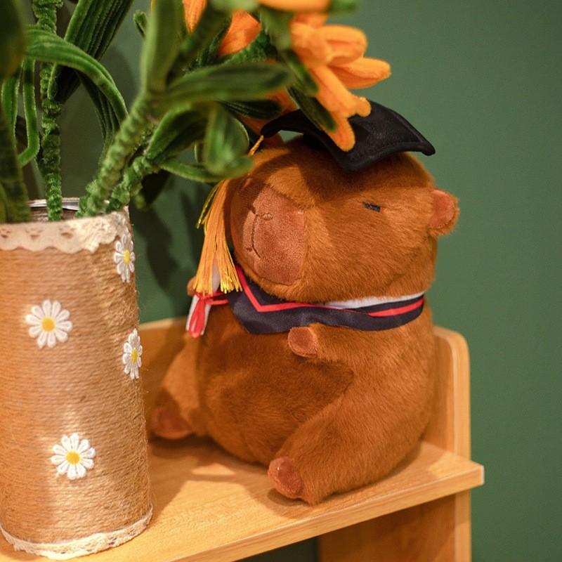 Capybara Doctor Student Plush Toy Stuffed Doll Graduation Gift Decoration 23cm