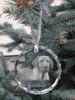 Black and Tan Coonhound – Crystal bauble with a photo, dog photo in crystal | Art-Dog