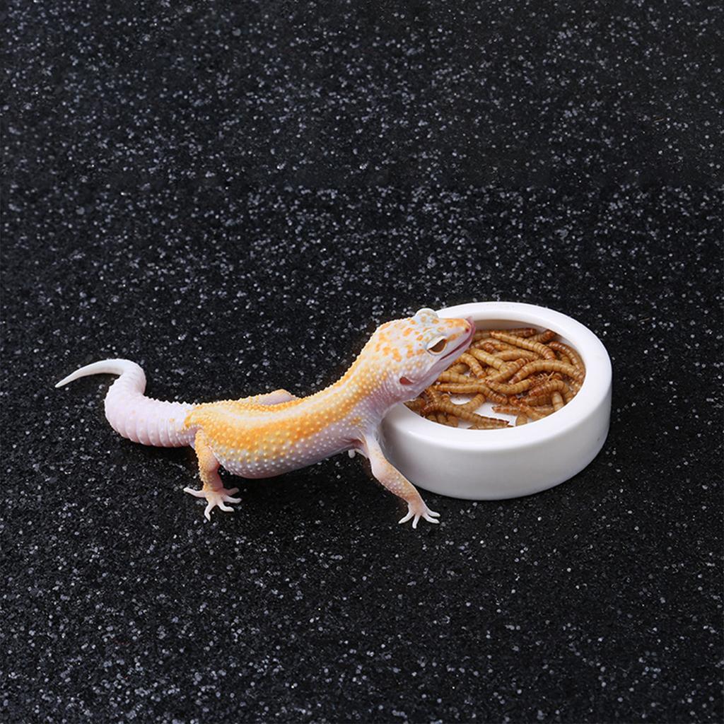 3 sizes Ceramic Aquarium Pet Reptile Feeder Bowl Basin Food Water Pot Reptile Turtle Tortoise Scorpion Lizard Crabs Supplies