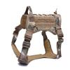 Elizabethan Tactical Dog Collar and Leash Set: Outdoor, Military-Grade Pet Training Gear